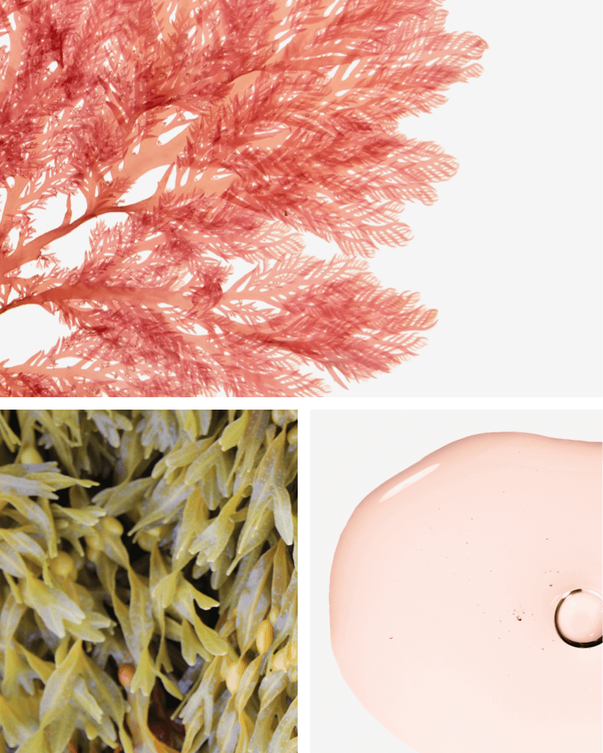 Advanced Action Sculpting Cream Firming, lifting face & neck cream